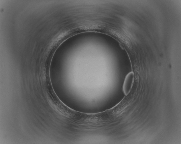 X0000071780631200606301221