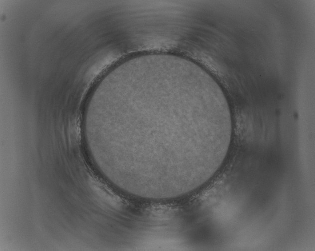 X0000071780632200606301221