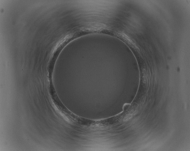 X0000071780634200606301221