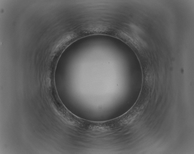 X0000071780635200606301221