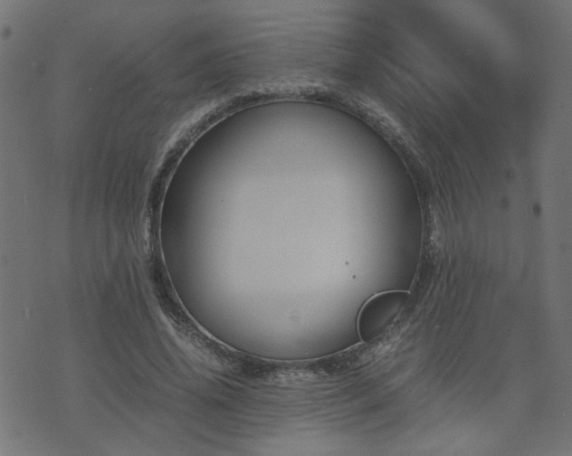 X0000071780636200606301221