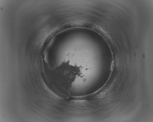 X0000071780637200606301221