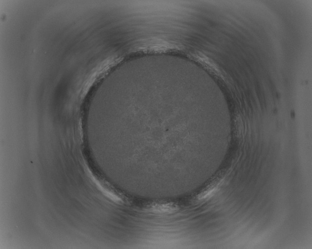 X0000071780638200606301221