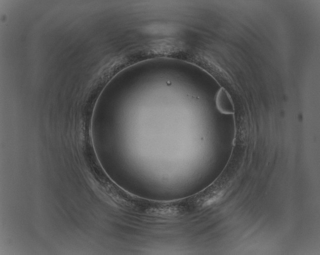 X0000071780639200606301221