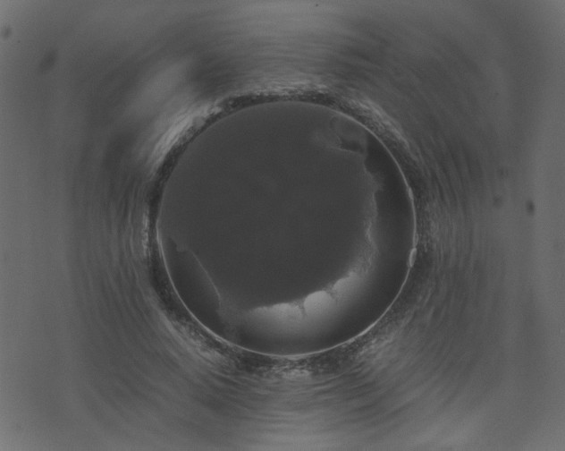 X0000071780640200606301221