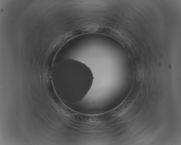 X0000071780641200606301221