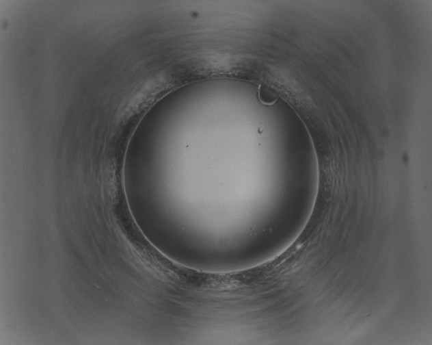 X0000071780642200606301221