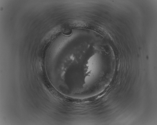 X0000071780643200606301221