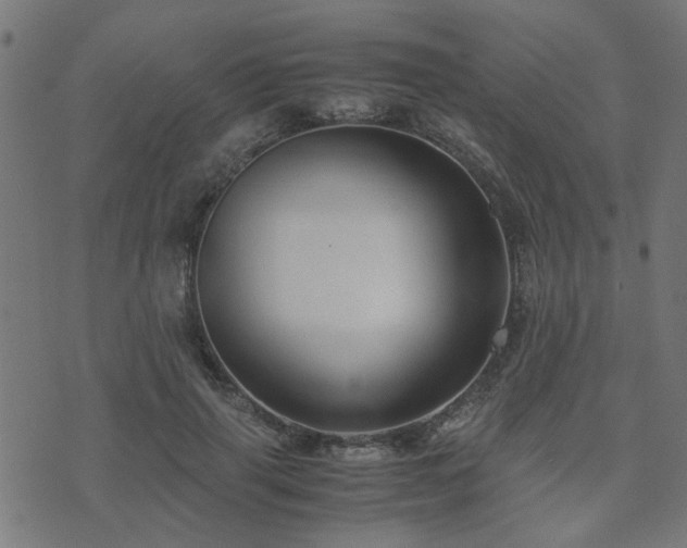 X0000071780645200606301221