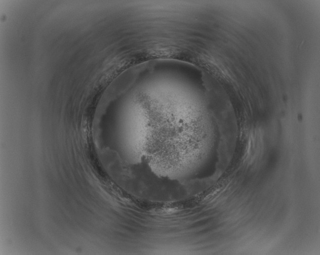 X0000071780647200606301221