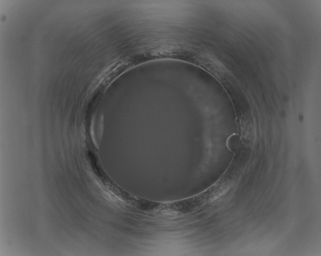 X0000071780648200606301221