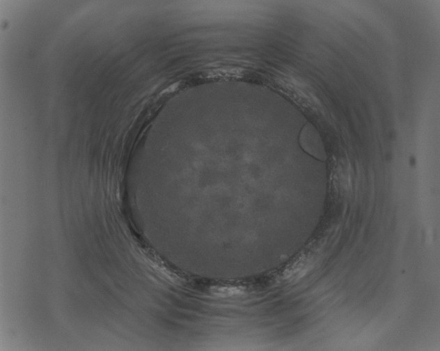 X0000071780649200606301221