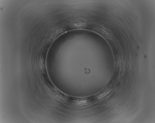 X0000071780651200606301221