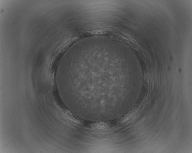 X0000071780652200606301221