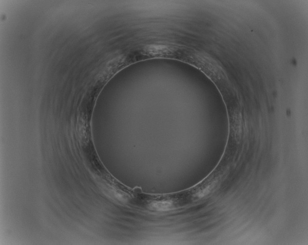 X0000071780653200606301221