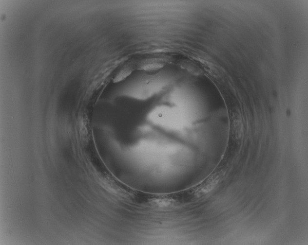 X0000071780654200606301221