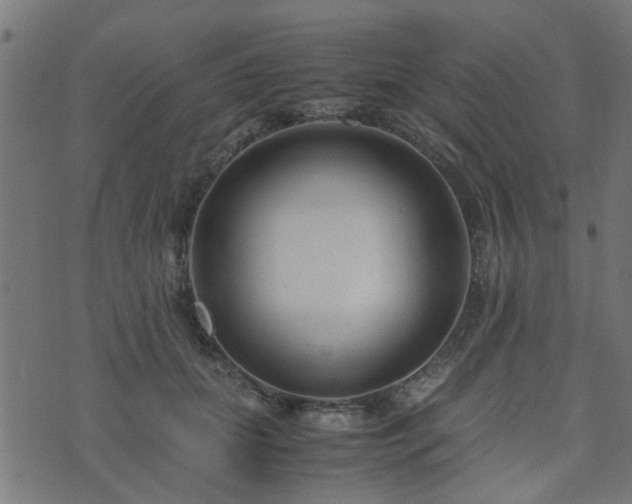 X0000071780655200606301221