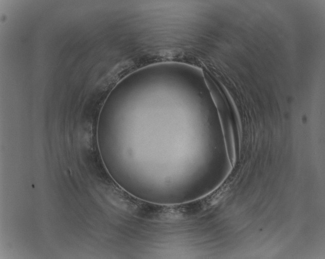 X0000071780656200606301221