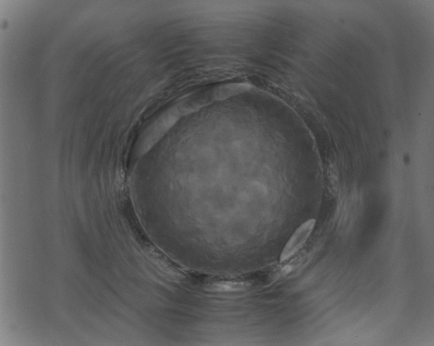 X0000071780657200606301221