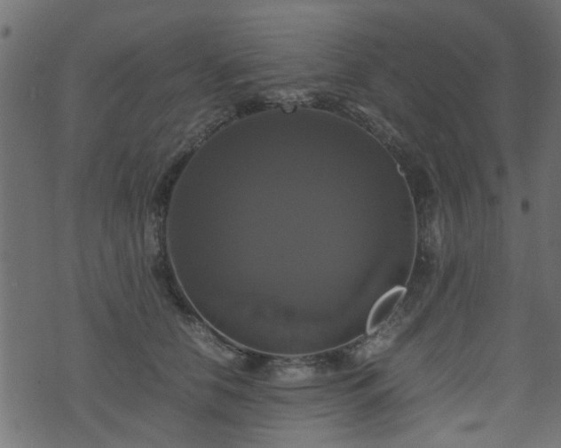 X0000071780658200606301221