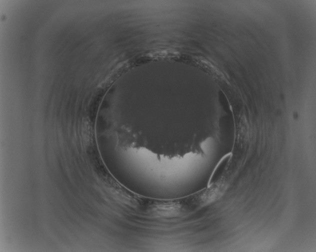 X0000071780659200606301221