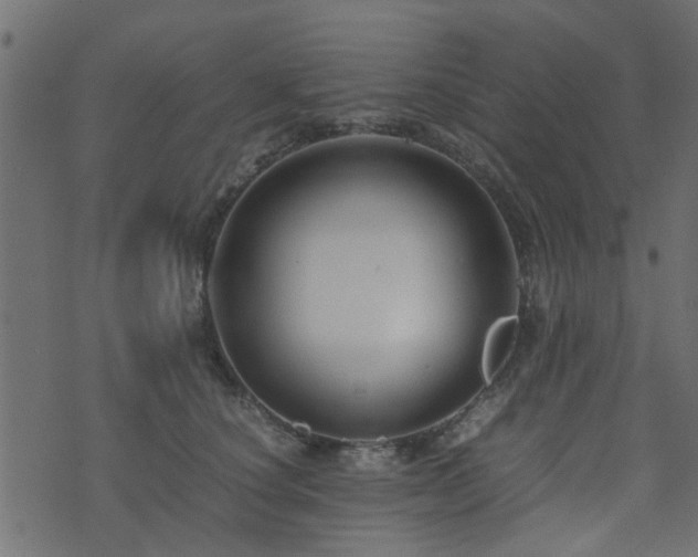 X0000071780660200606301221