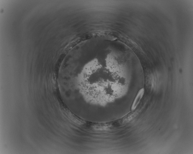 X0000071780661200606301221