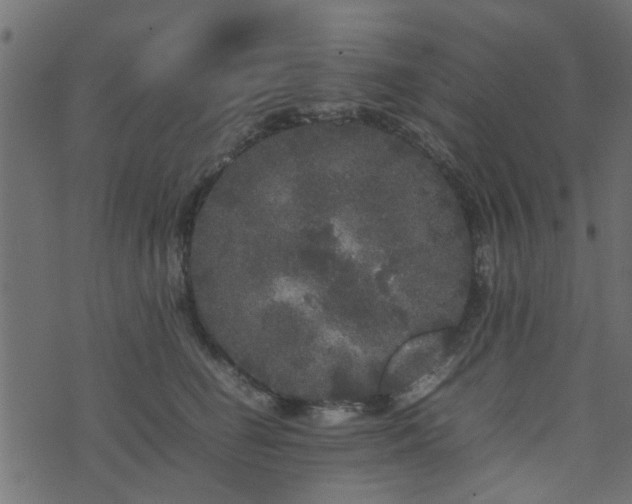 X0000071780662200606301221