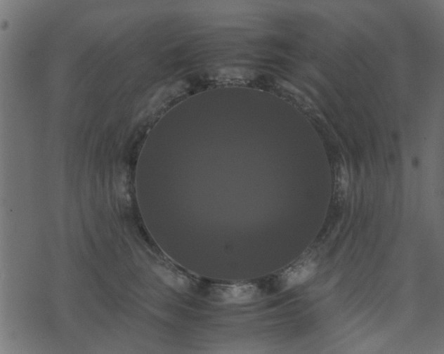 X0000071780663200606301221