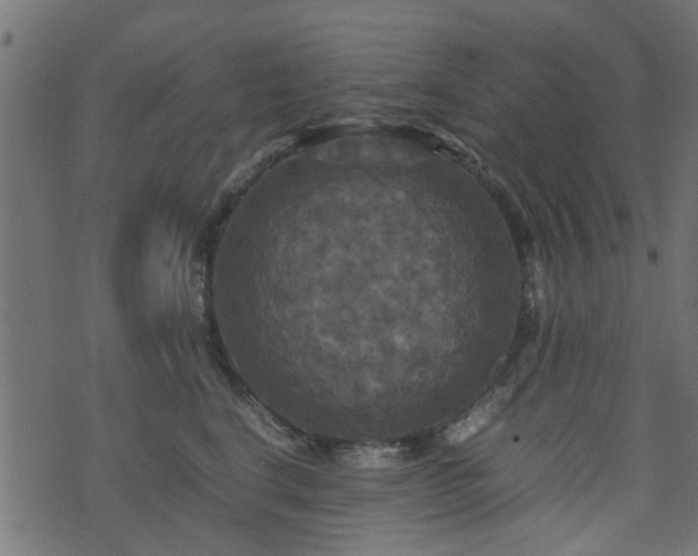 X0000071780664200606301221