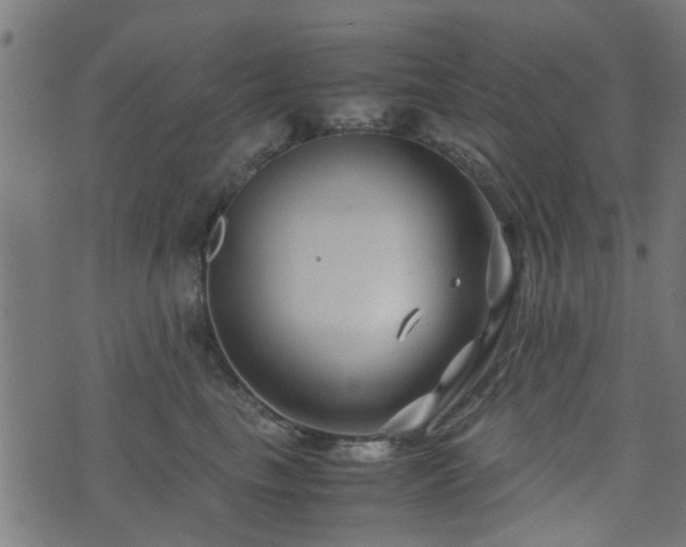 X0000071780665200606301221