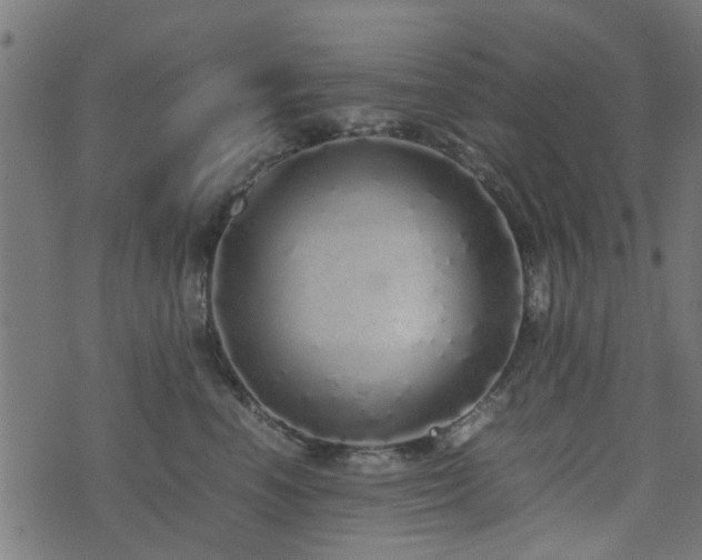 X0000071780666200606301221