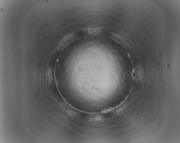 X0000071780667200606301221