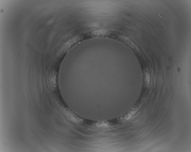 X0000071780668200606301221