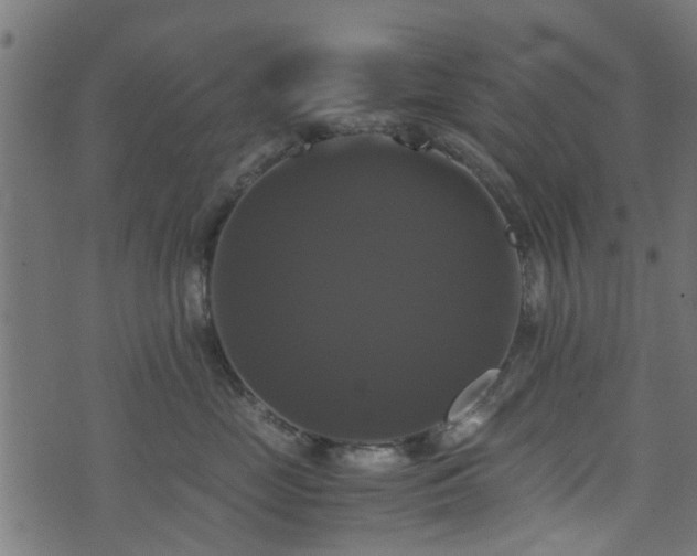 X0000071780669200606301221