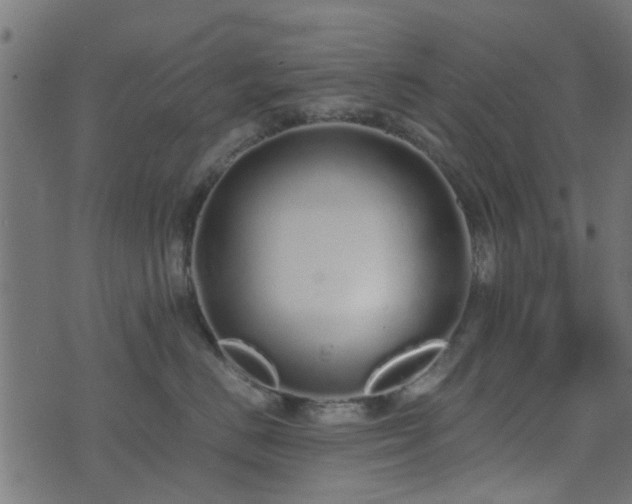 X0000071780670200606301221