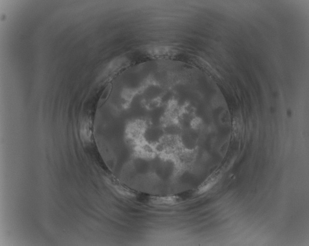 X0000071780671200606301222