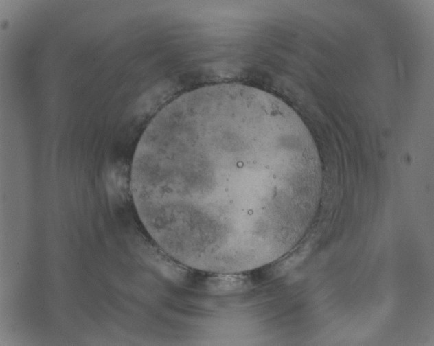 X0000071780672200606301222