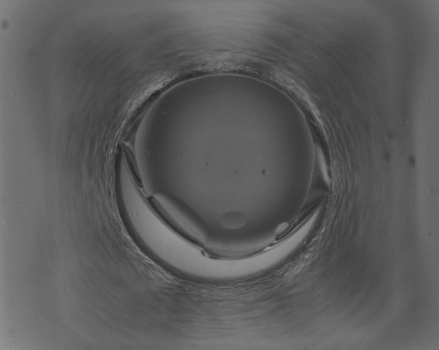 X0000071780673200606301221