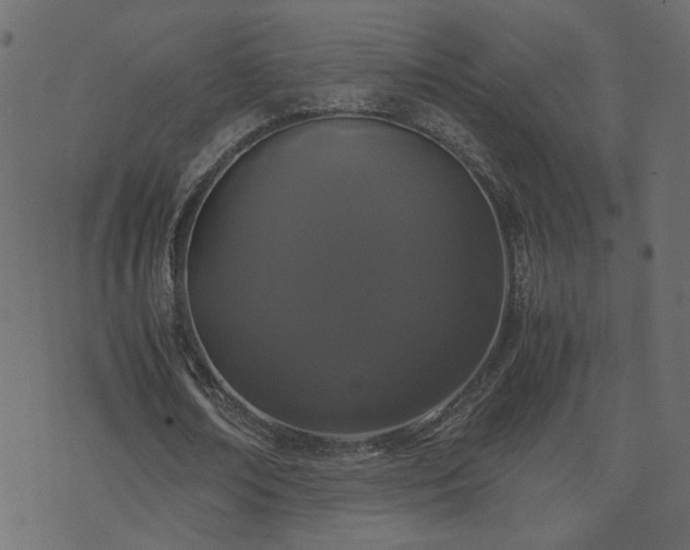 X0000071780674200606301221