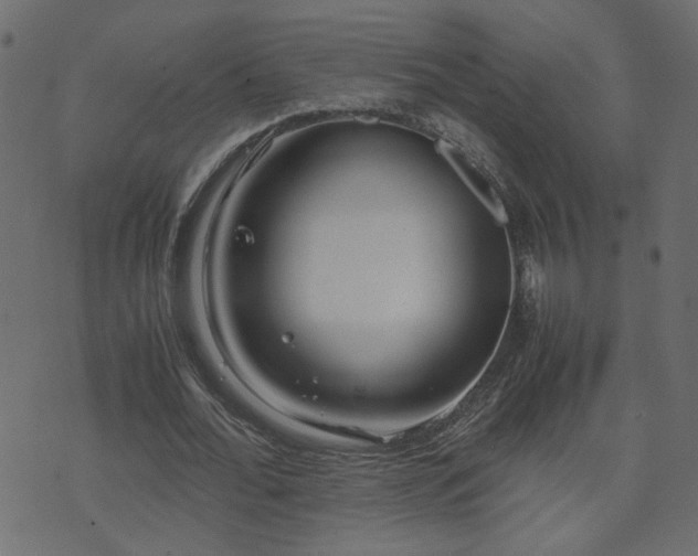 X0000071780676200606301221