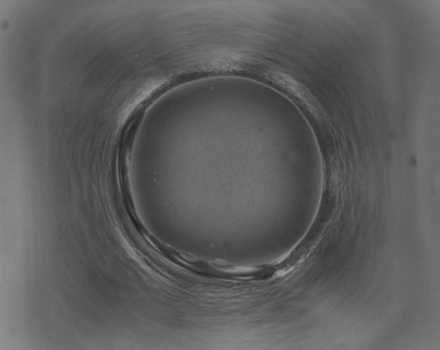 X0000071780677200606301221