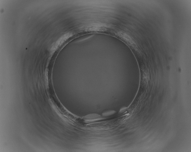 X0000071780678200606301221