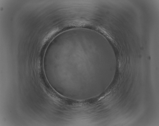 X0000071780679200606301221