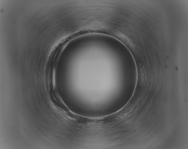 X0000071780680200606301221