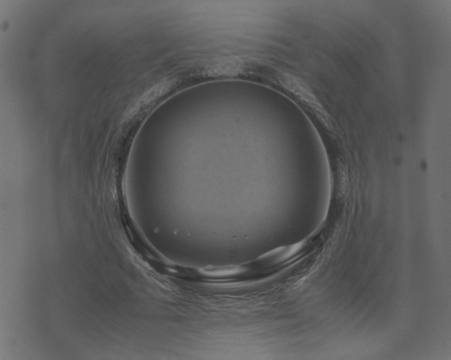 X0000071780681200606301221