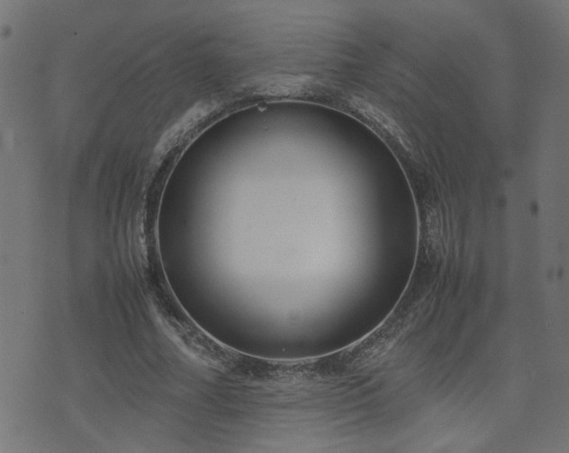 X0000071780682200606301221