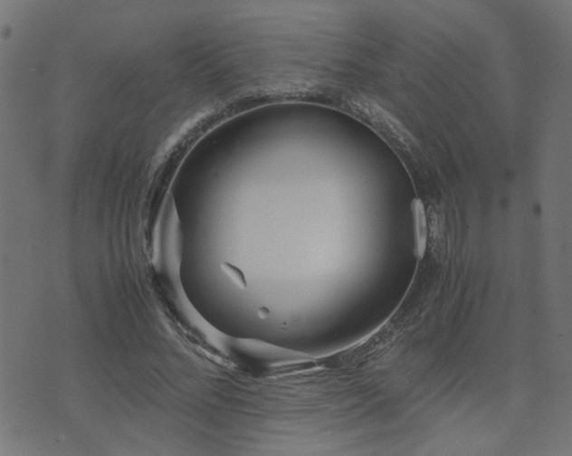 X0000071780684200606301221