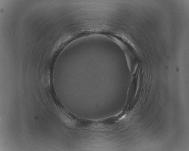 X0000071780685200606301221