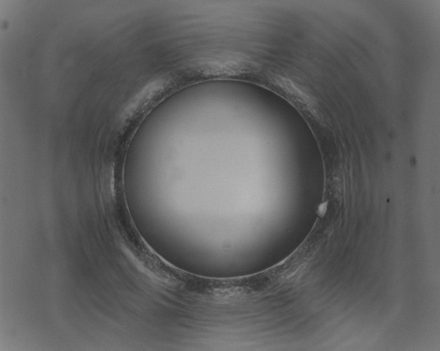 X0000071780686200606301221